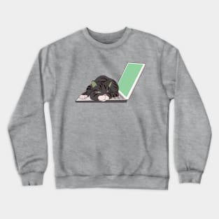 cat sleeping on laptop Crewneck Sweatshirt